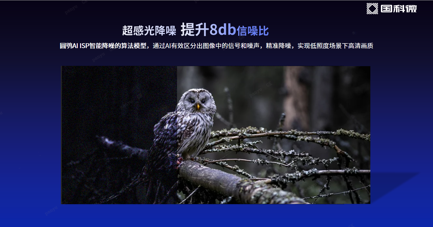 亚洲AV永久无码精品三区在线4